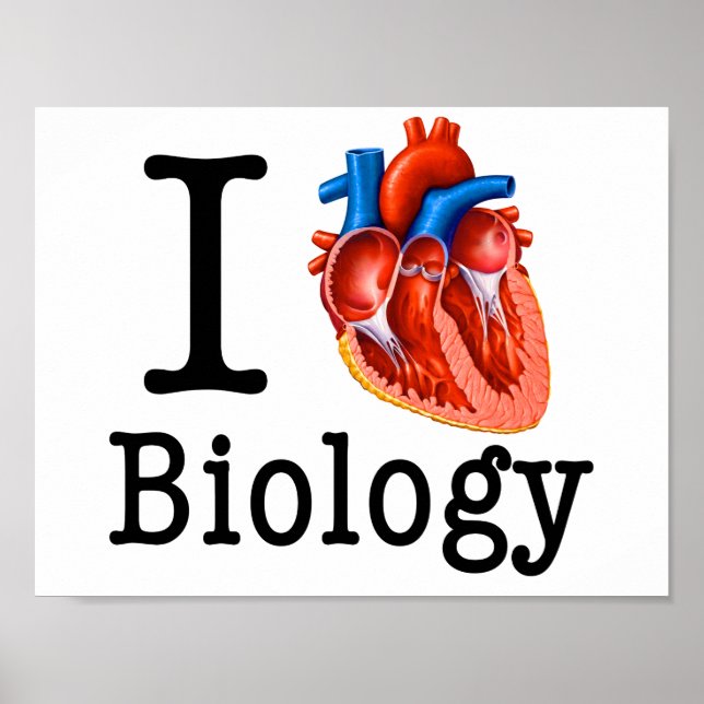I Love Biology Poster (Front)