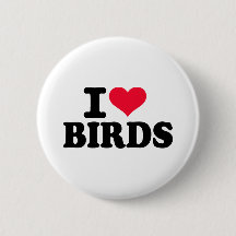 I love birds