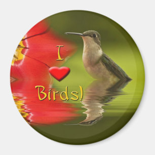 I Love Birds Magnet