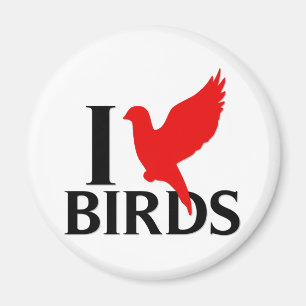 I Love Birds Magnet