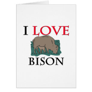 I Love Bison