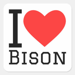 I love bison square sticker