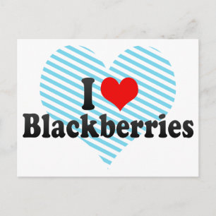 I Love Blackberries Postcard