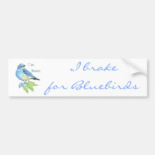 I love Bluebirds, Bird Collection Bumper Sticker
