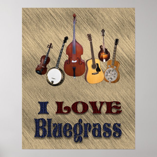 I LOVE BLUEGRASS* POSTER (Front)