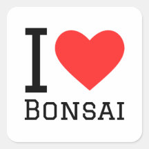 I love bonsai