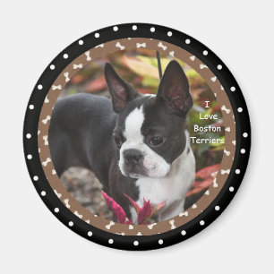 I love boston Terrier Dogs Magnet