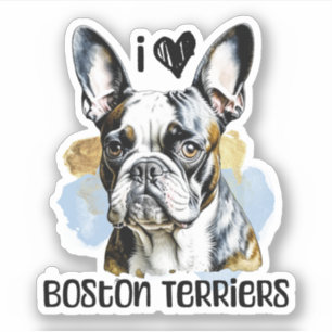 I Love Boston Terriers 
