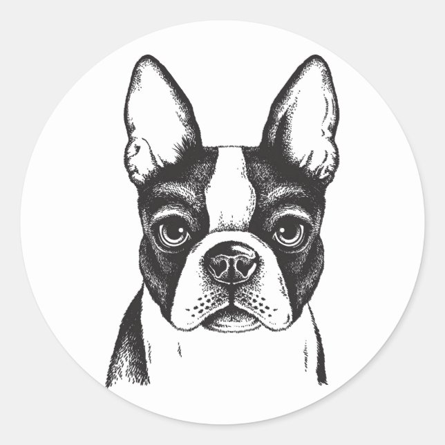 I love Boston Terriers Classic Round Sticker (Front)