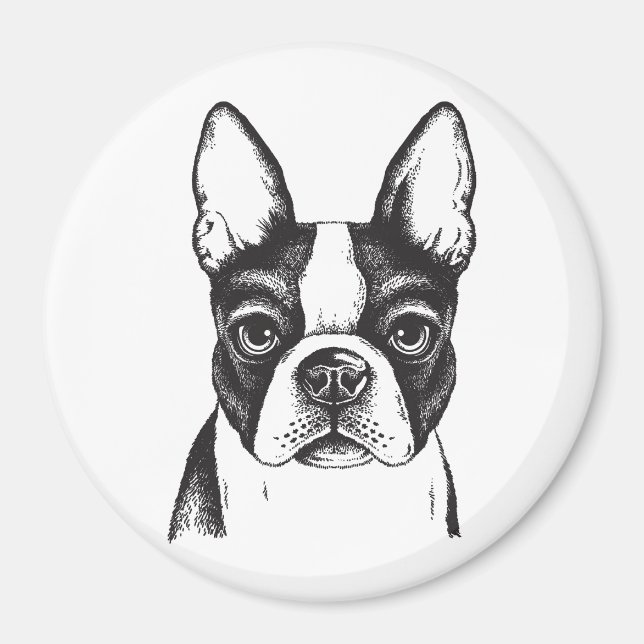 I love Boston Terriers Magnet (Front)