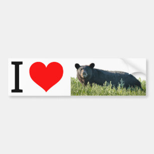 I Love Bruno Bumper Sticker