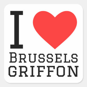 I love Brussels griffon Square Sticker