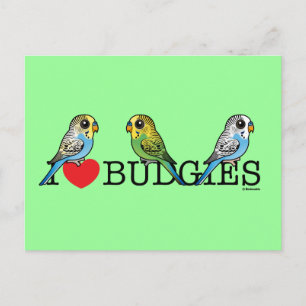 I Love Budgies Postcard