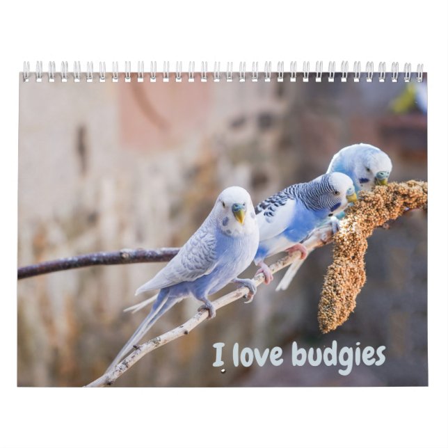 I love budgies - snapshots of the little birds calendar (Cover)