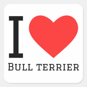 I love bull terrier square sticker