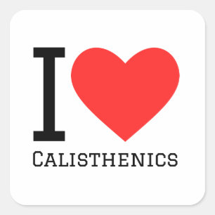 I love calisthenics square sticker