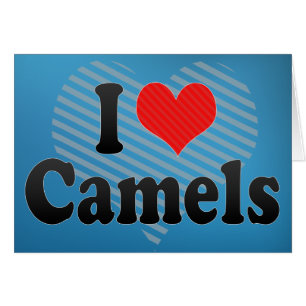 I Love Camels