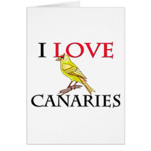 I Love Canaries