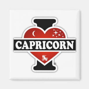 I Love Capricorn Magnet