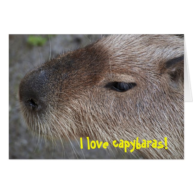 I love capybaras (Front Horizontal)