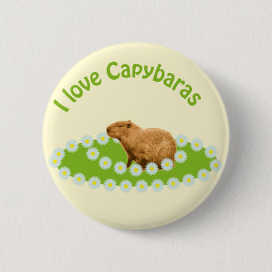 I love Capybaras 6 Cm Round Badge