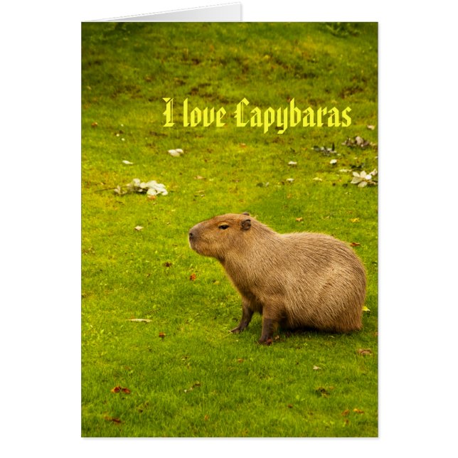 I love capybaras Card (Front)