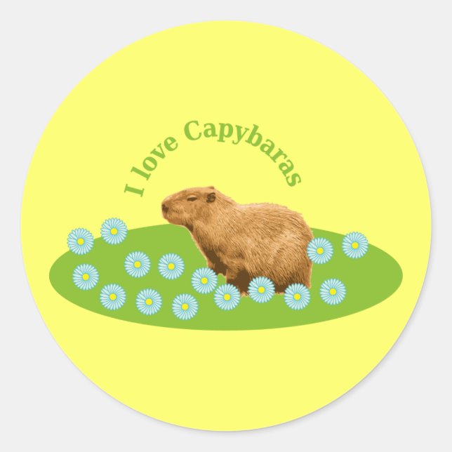 I love Capybaras Classic Round Sticker (Front)