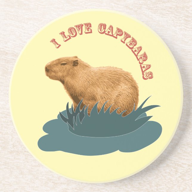 I Love Capybaras Cute Capybara Lover Coaster (Front)