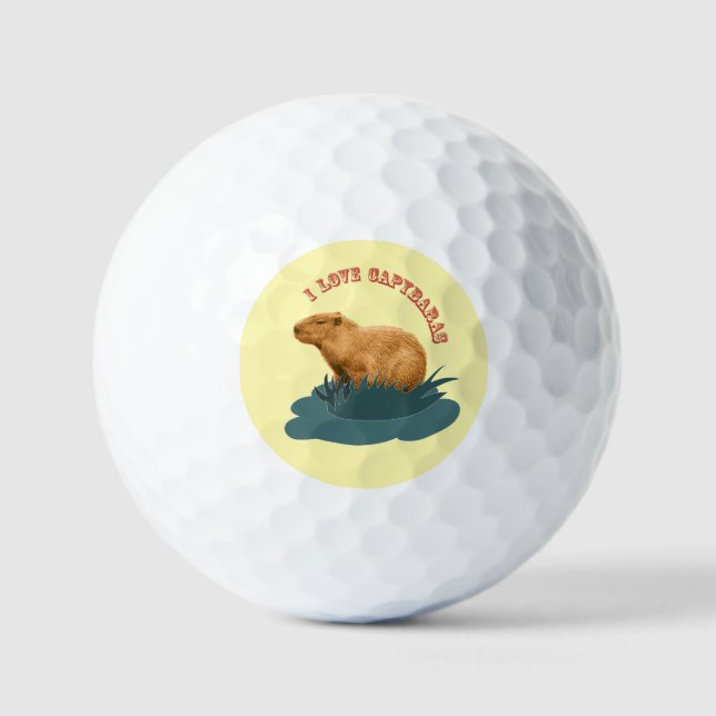 I Love Capybaras  Golf Balls (Front)