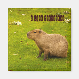 I love Capybaras Magnet