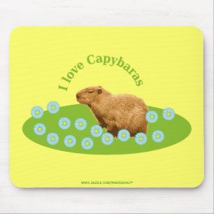 I love Capybaras Mouse Pad