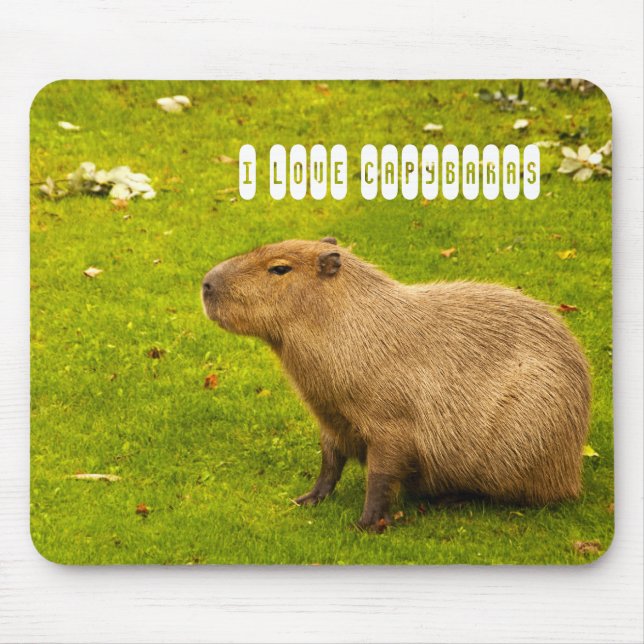 I love Capybaras Mousepad (Front)