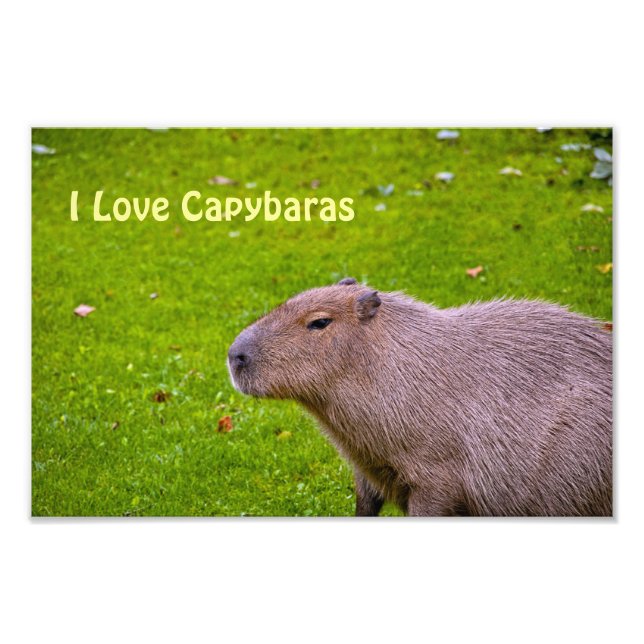 I Love Capybaras Photo Enlargement (Front)