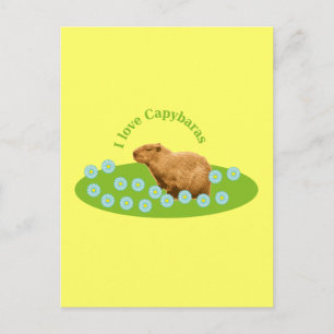 I love Capybaras Postcard