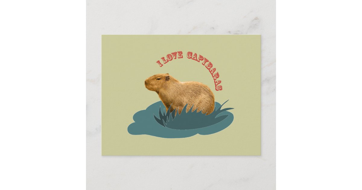 I love capybaras postcard | Zazzle