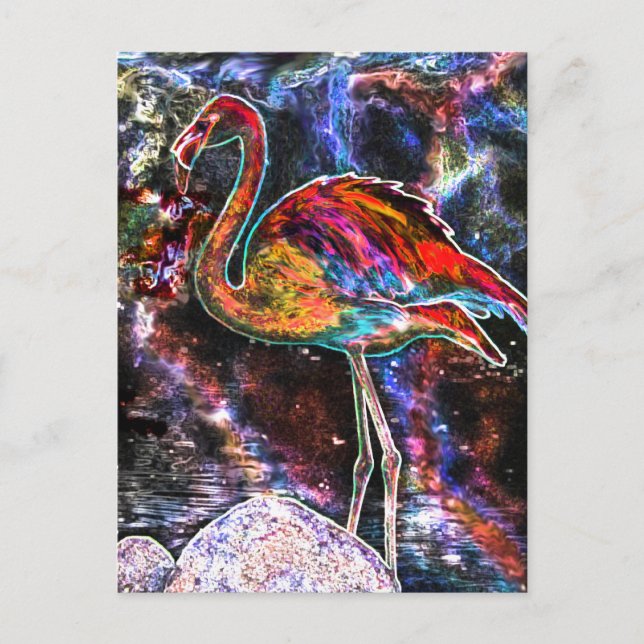 I love Caribbean-Flamingoes Postcard (Front)