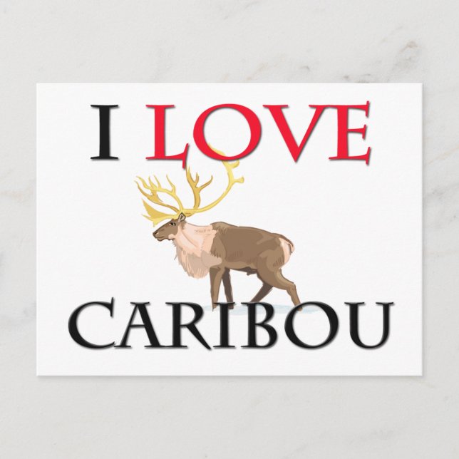 I Love Caribou Postcard (Front)