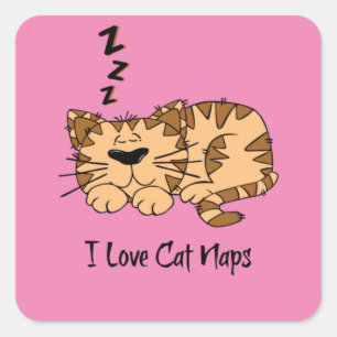 I Love Cat Naps, Square Sticker
