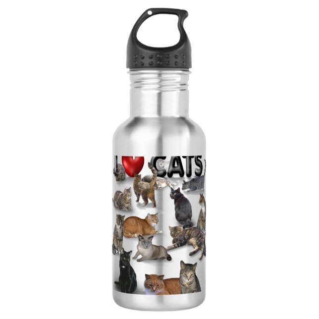 I love Cats 710 Ml Water Bottle (Front)