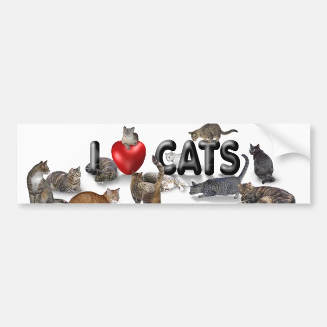 I love Cats Bumper Sticker (Front)