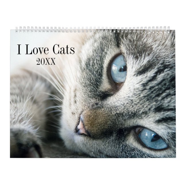I Love Cats Calendar (Cover)
