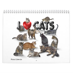 I love Cats 😻 Calendar