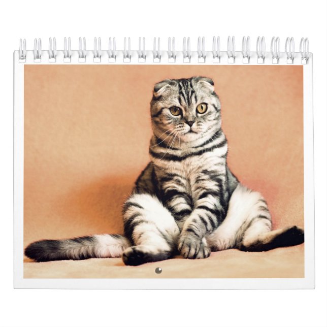 I love cats calendar 2026 (Cover)