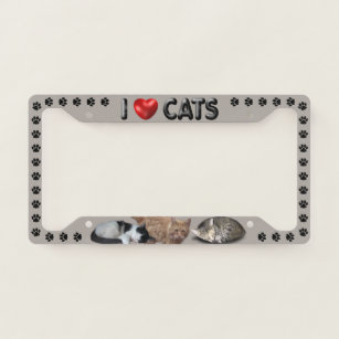 I love Cats Licence Plate Frame