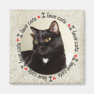 I Love Cats Magnet