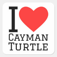 I love cayman turtle