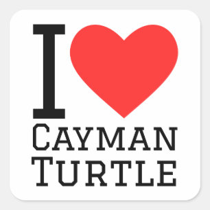 I love cayman turtle square sticker