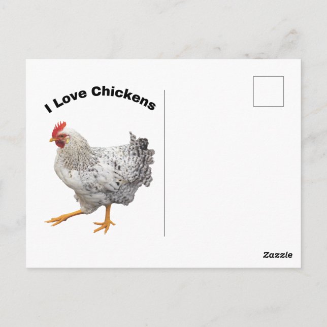 I Love Chickens. chickens, humour, funny Postcard (Back)