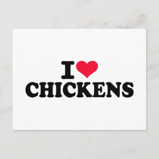 I love Chickens Postcard