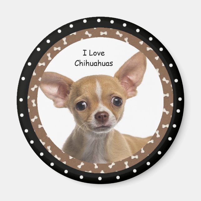 I love Chihuahuas 2 Magnet (Front)